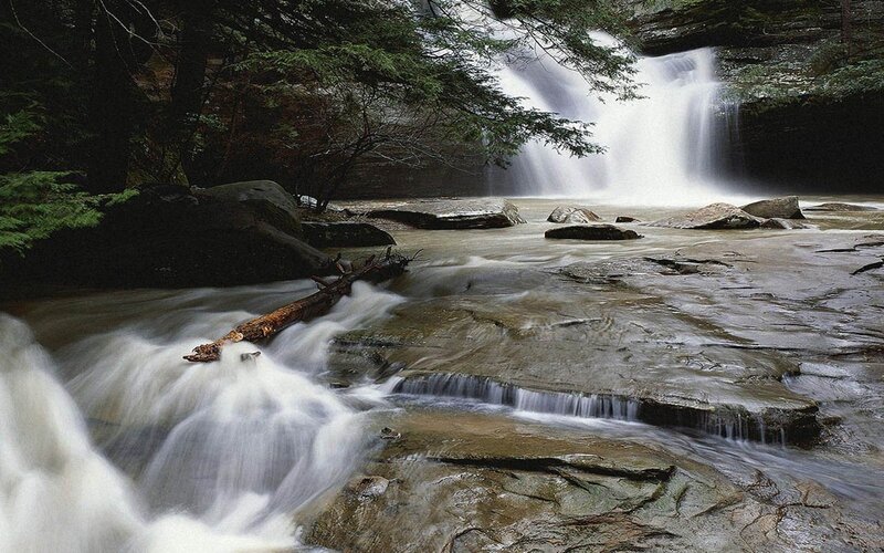 Waterfall in a forest
