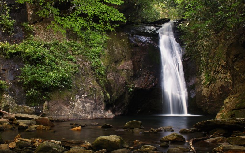 Waterfall in a forest