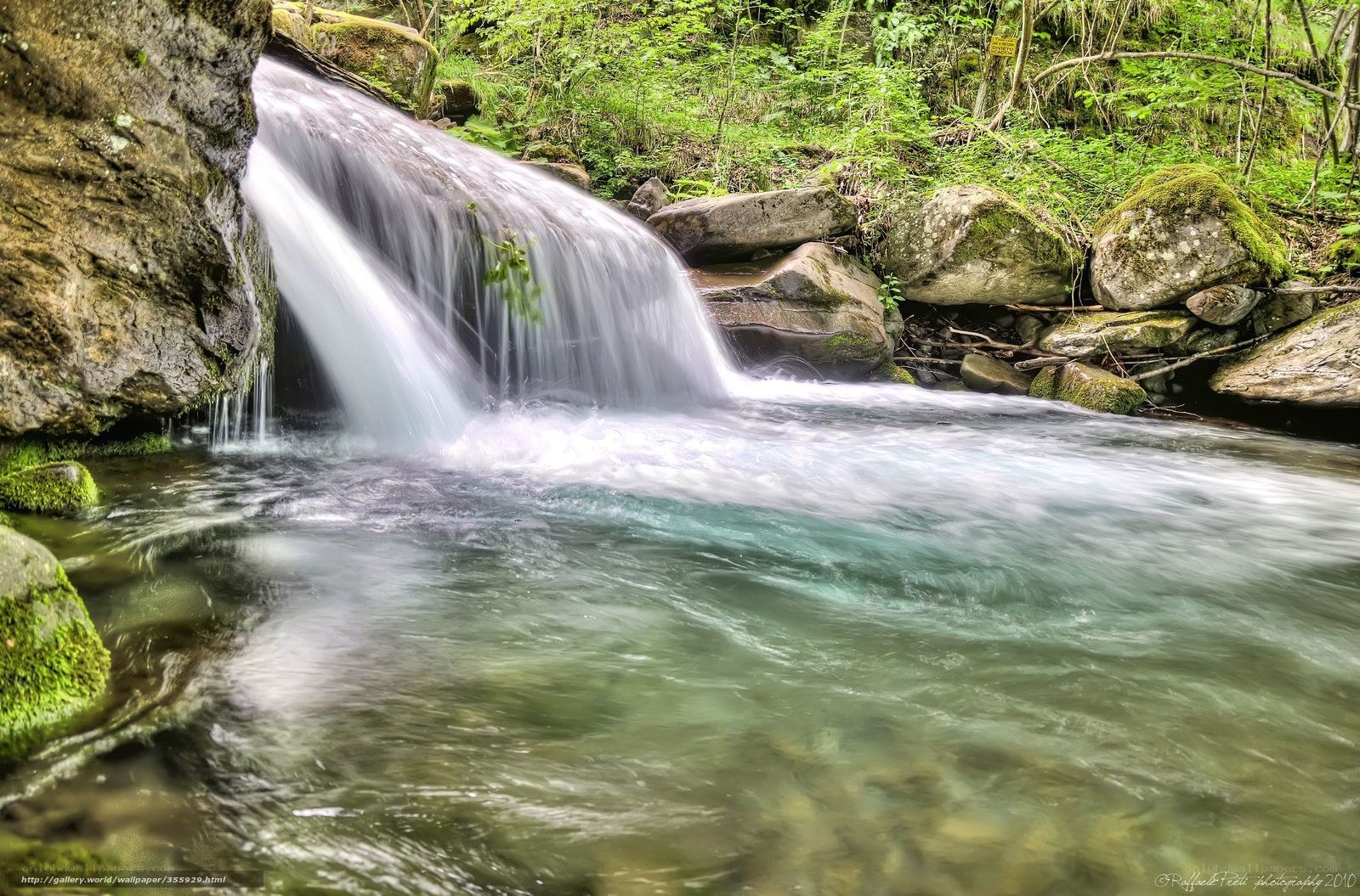 Waterfall in a forest