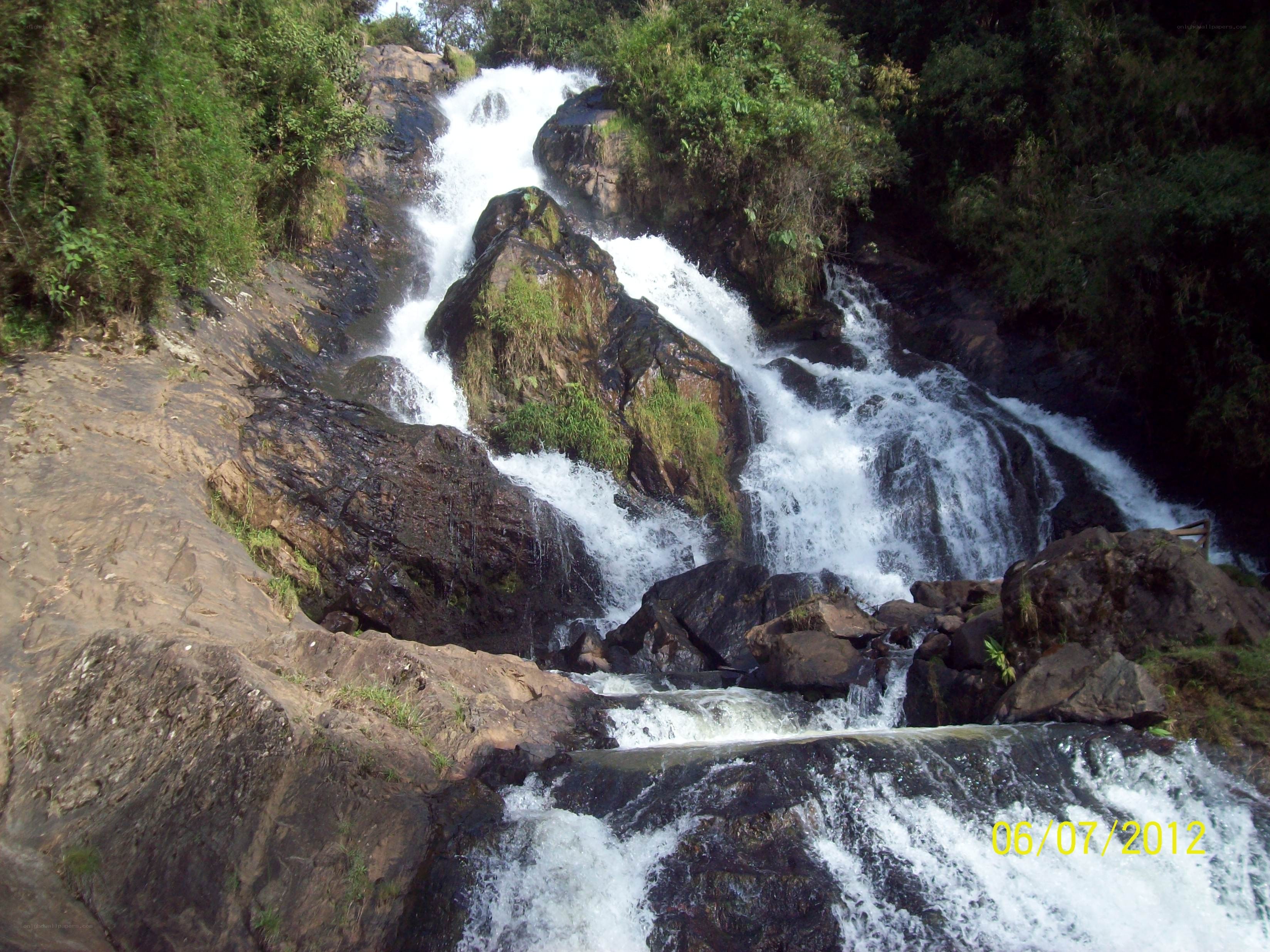 Waterfall in a forest