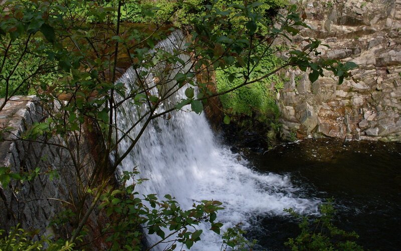 Waterfall in a forest