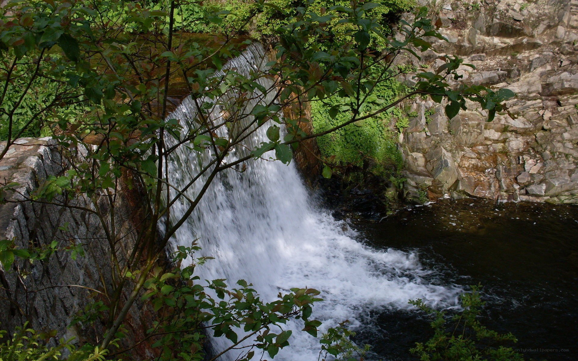 Waterfall in a forest