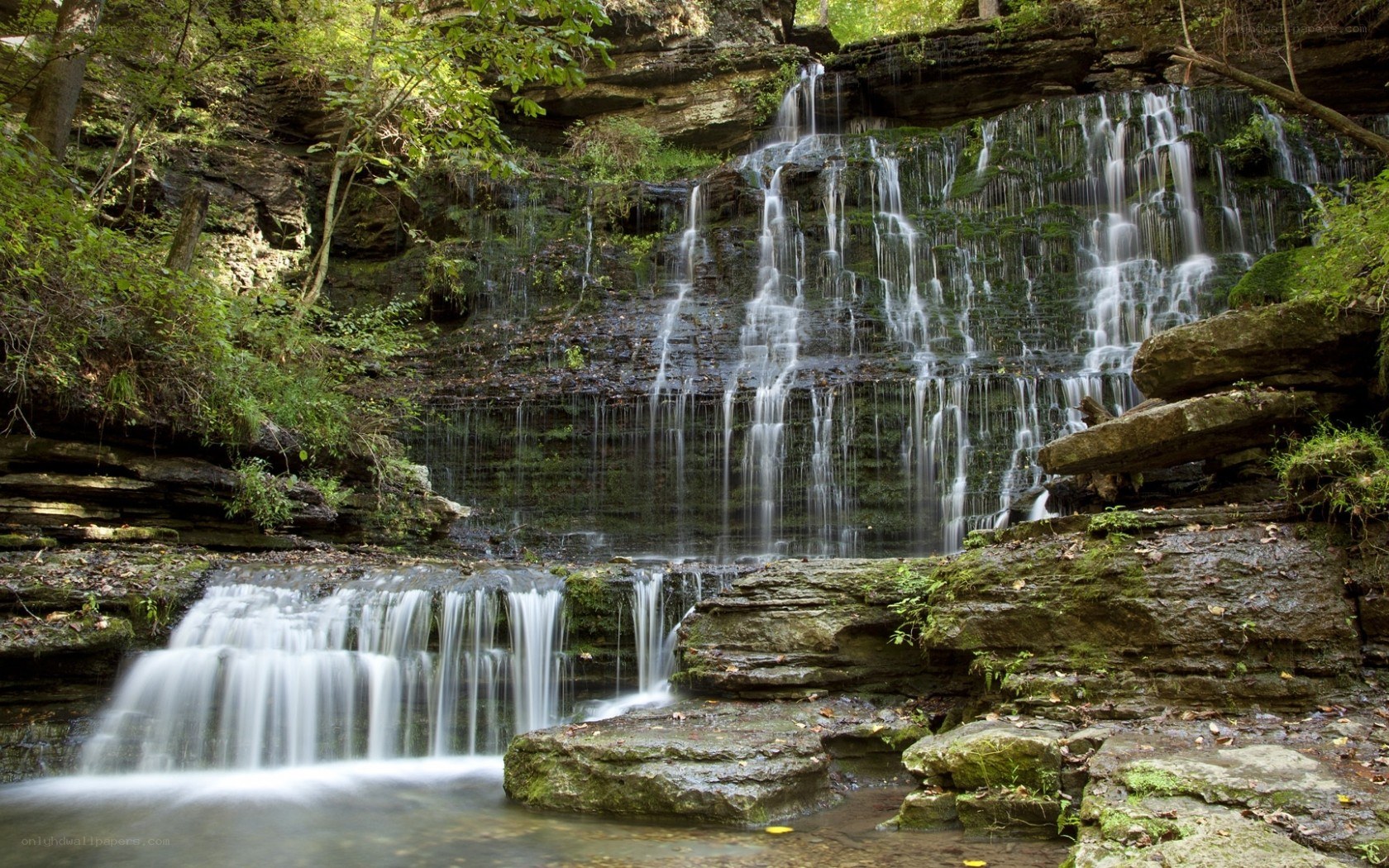 Waterfall in a forest