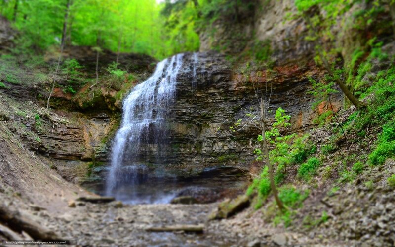 Waterfall in a forest