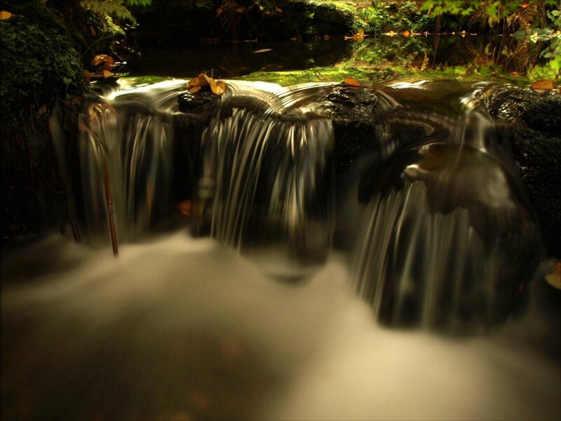 Waterfall in a forest