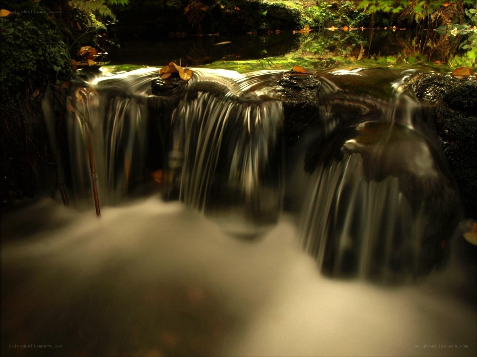 Waterfall in a forest