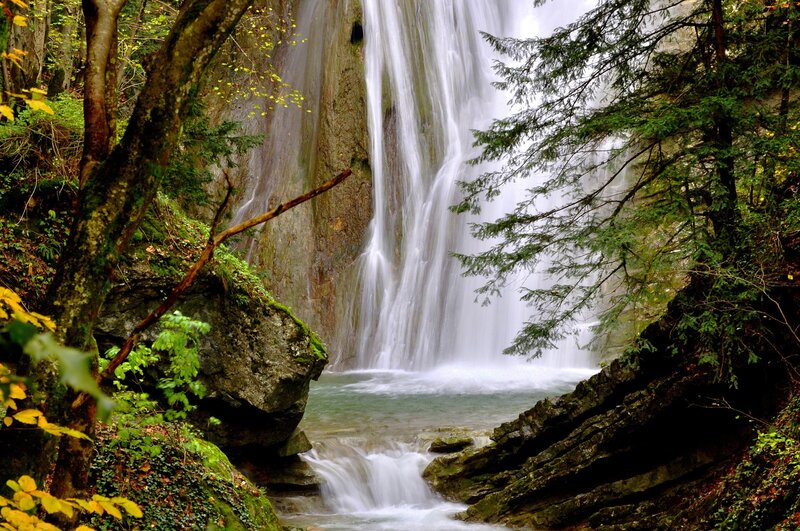 Waterfall in a forest