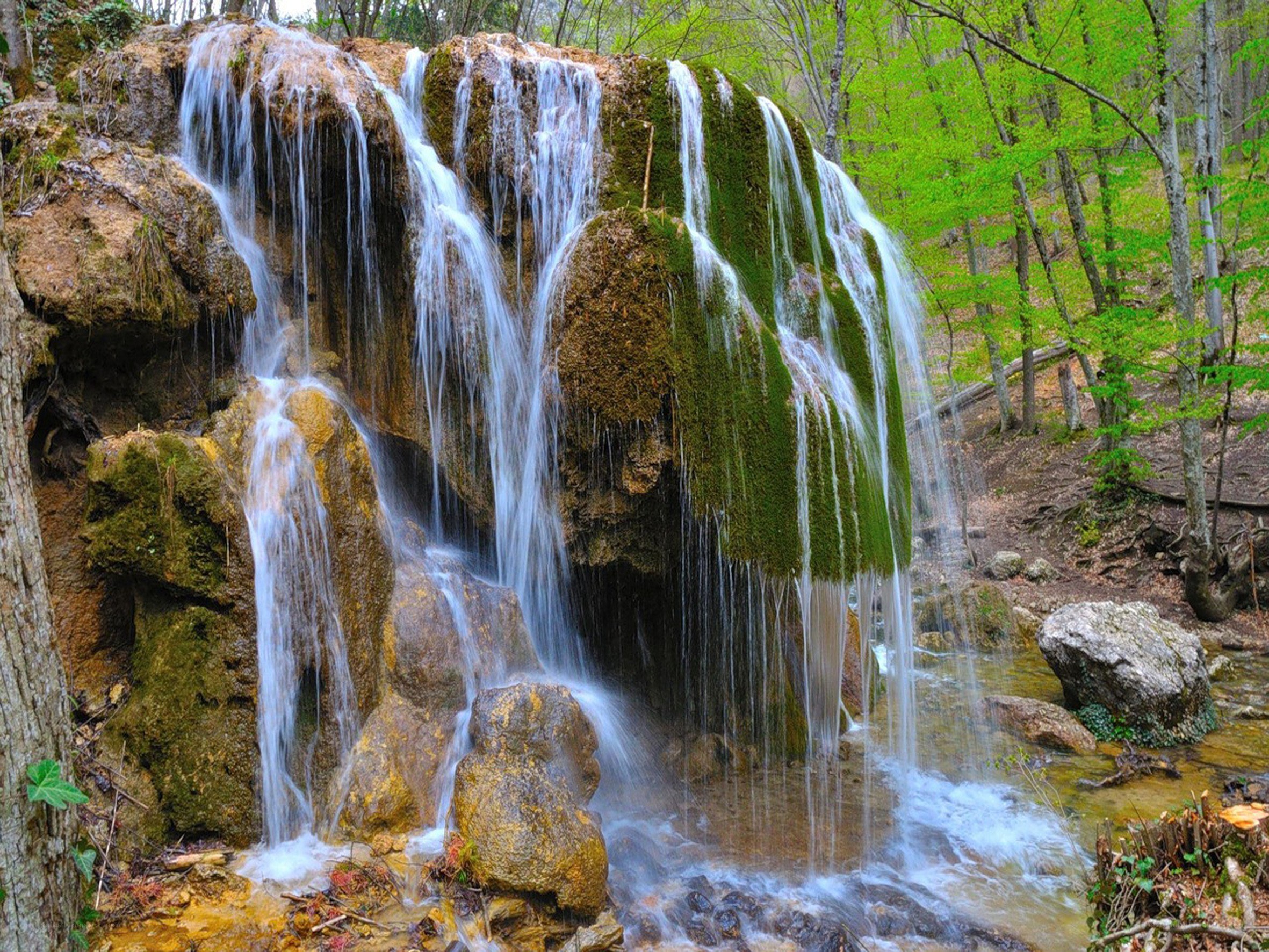 Waterfall in a forest