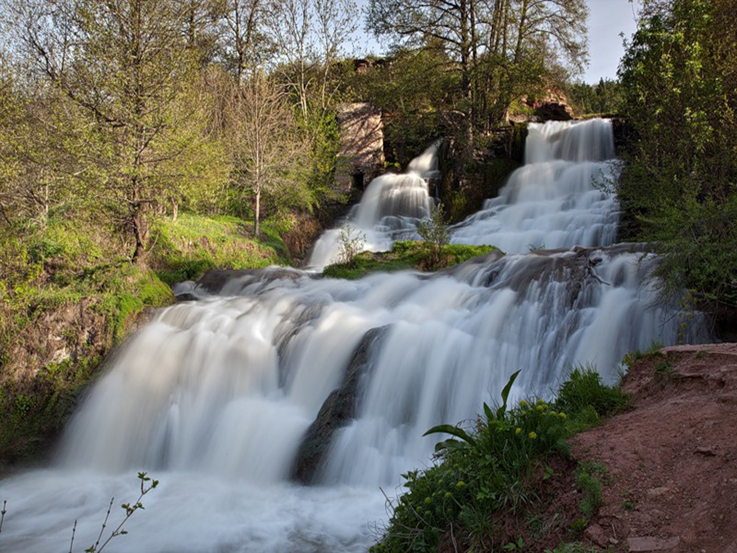 Waterfall in a forest