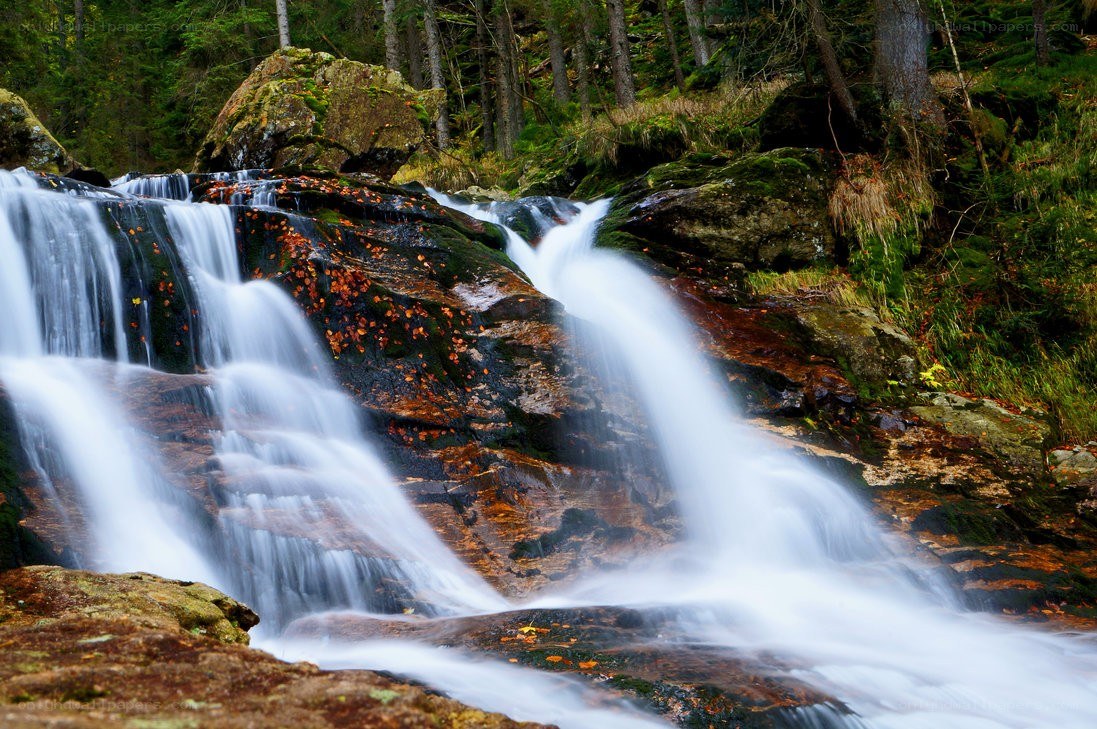 Waterfall in a forest
