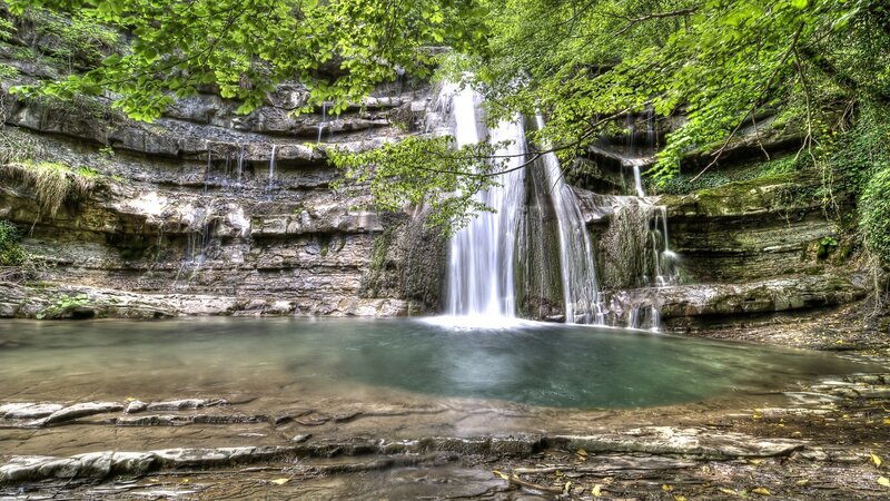 Waterfall in a forest