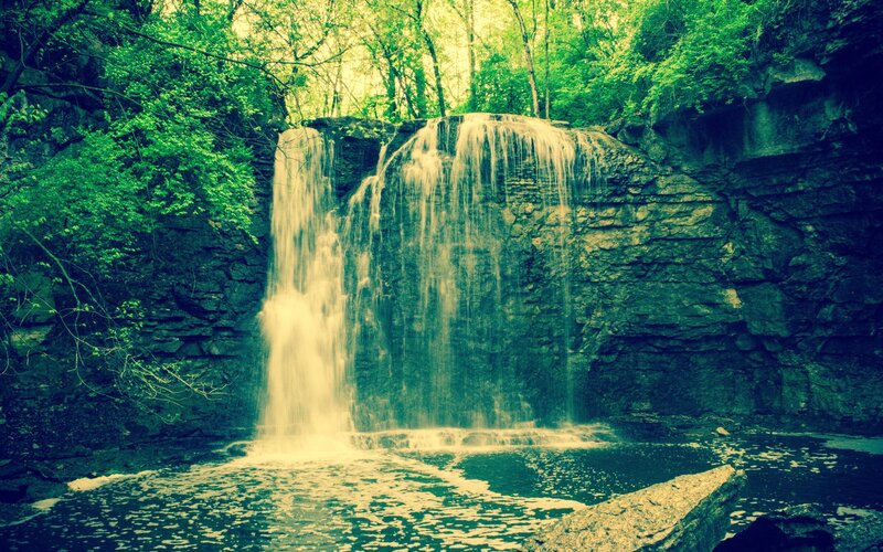 Waterfall in a forest