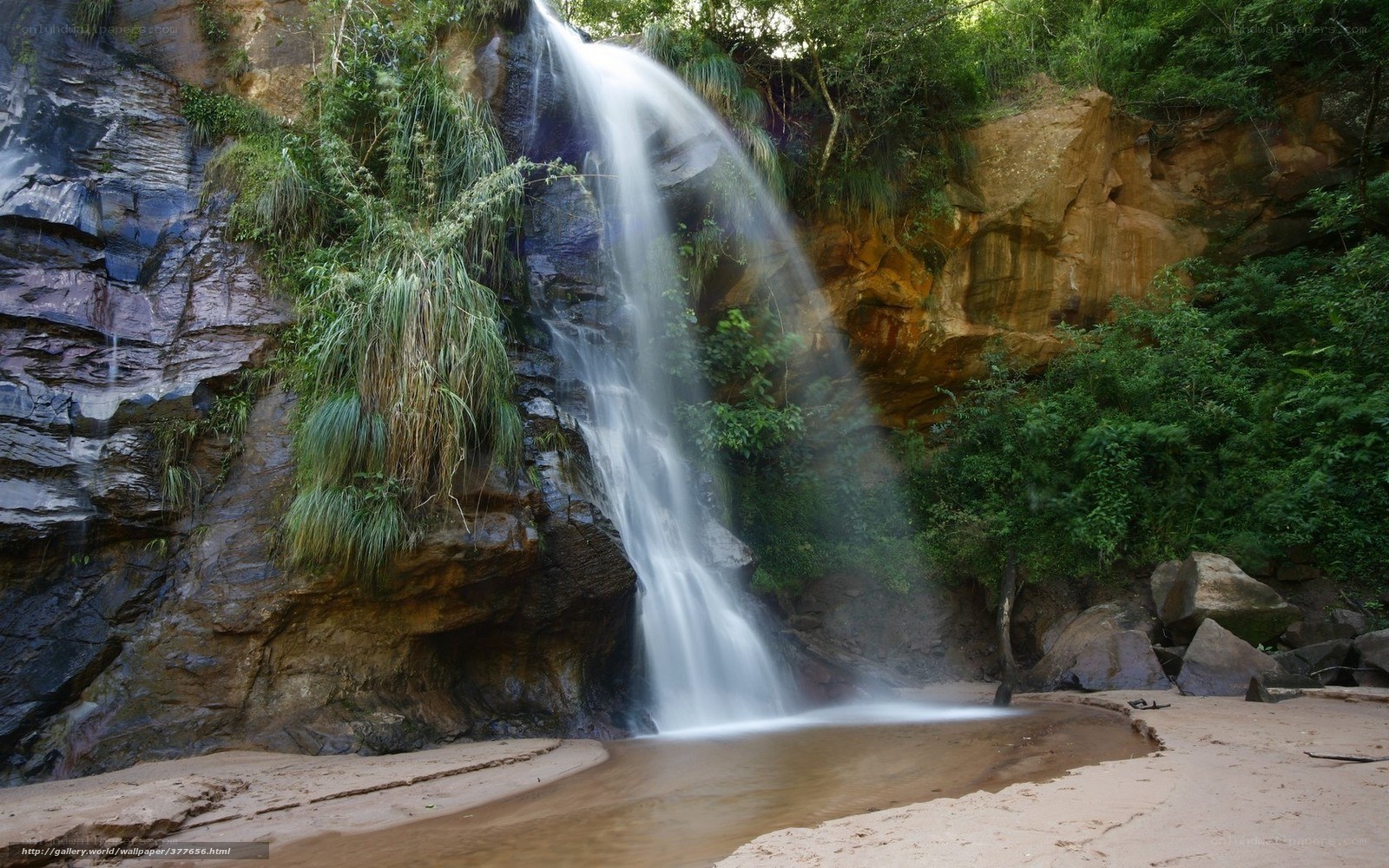 Waterfall in a forest