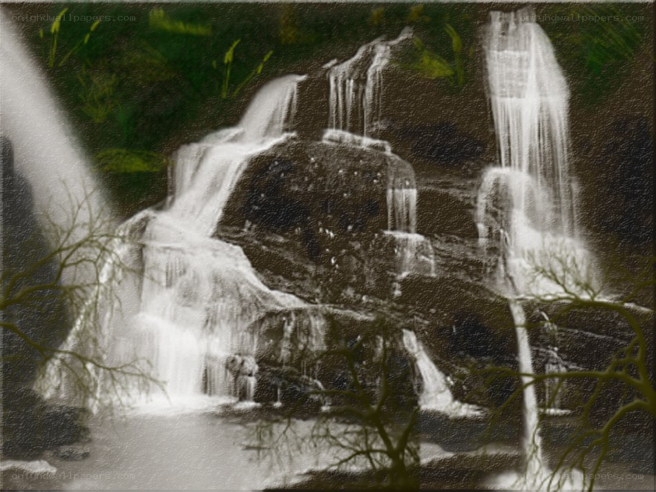 Waterfall in a forest
