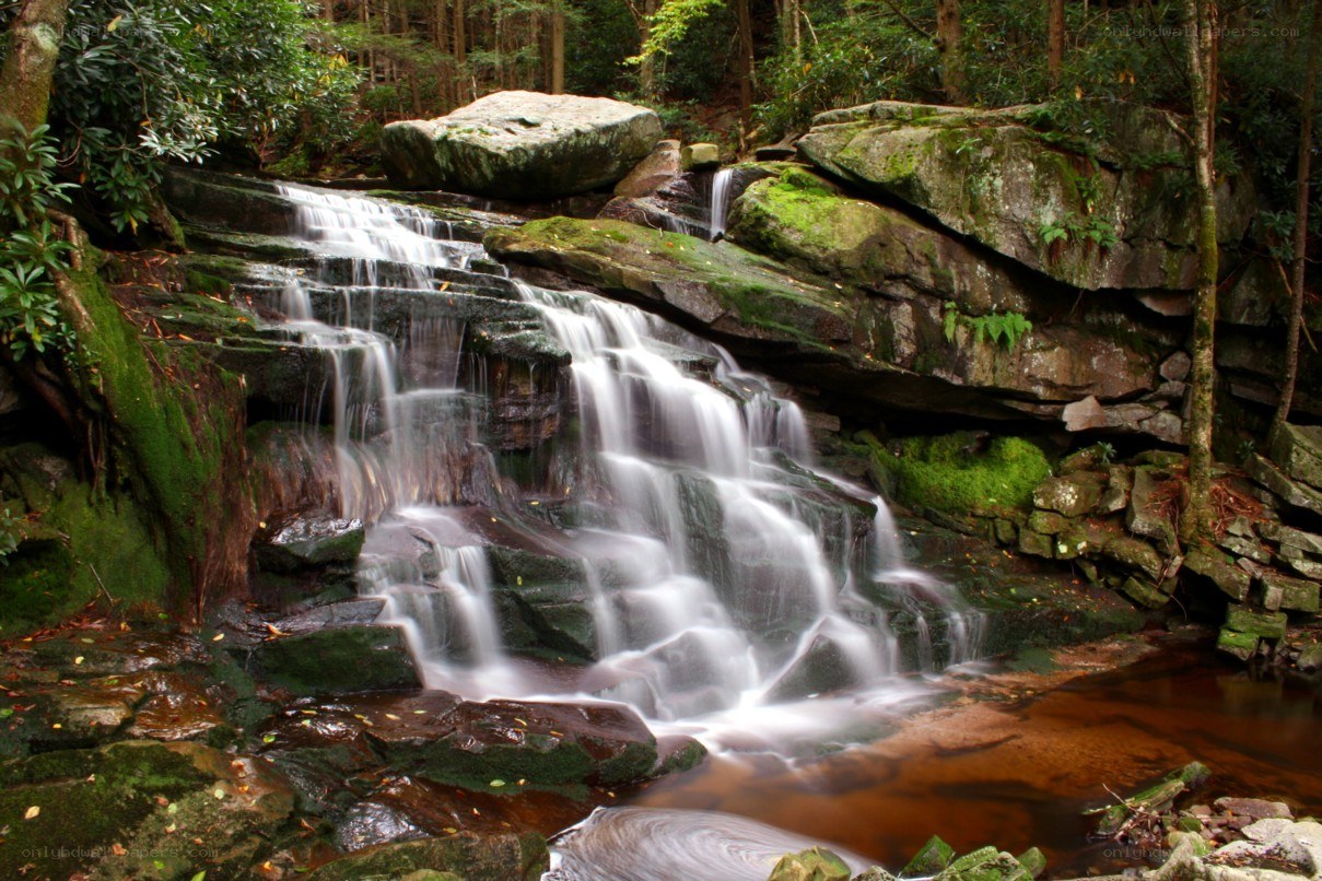 Waterfall in a forest