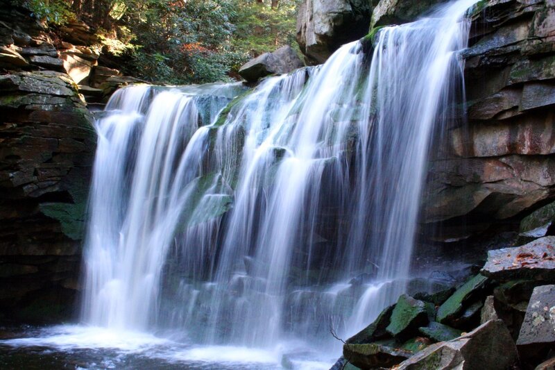 Waterfall in a forest