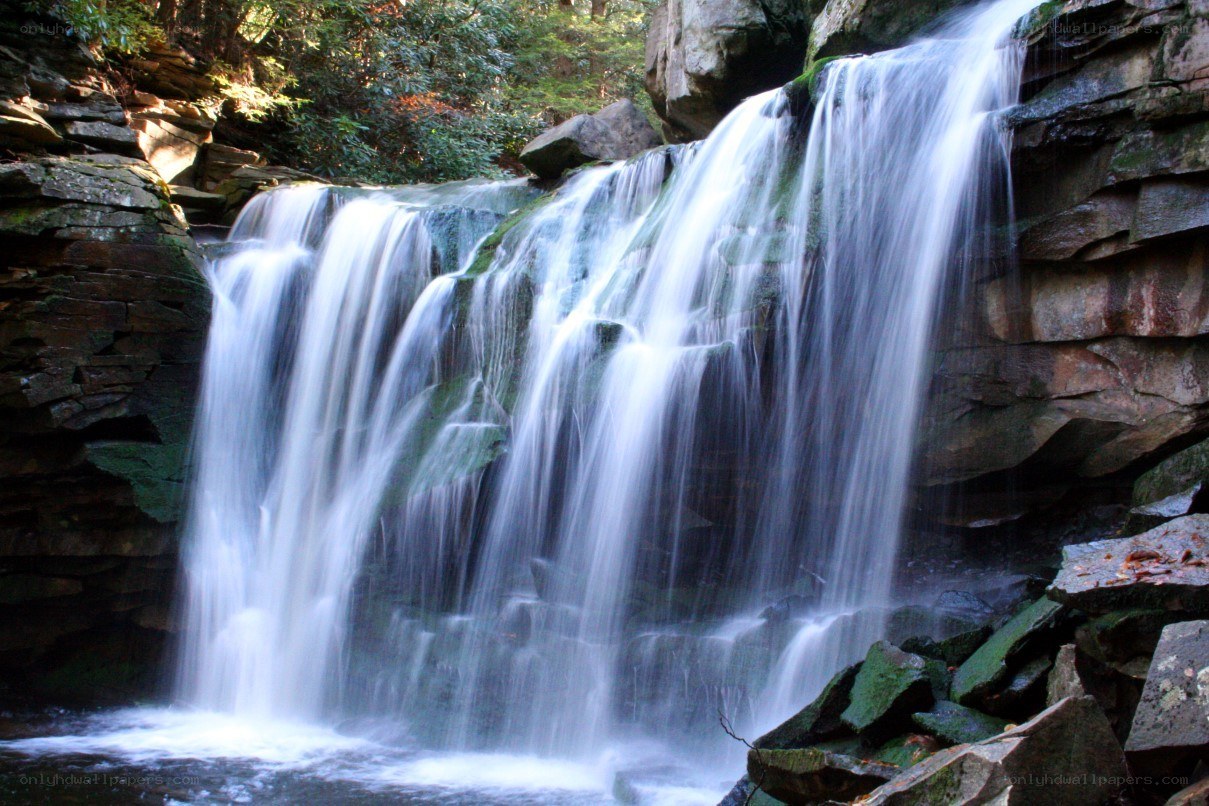 Waterfall in a forest