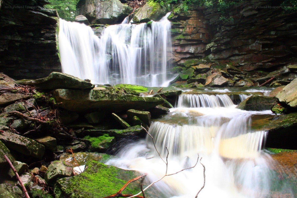 Waterfall in a forest