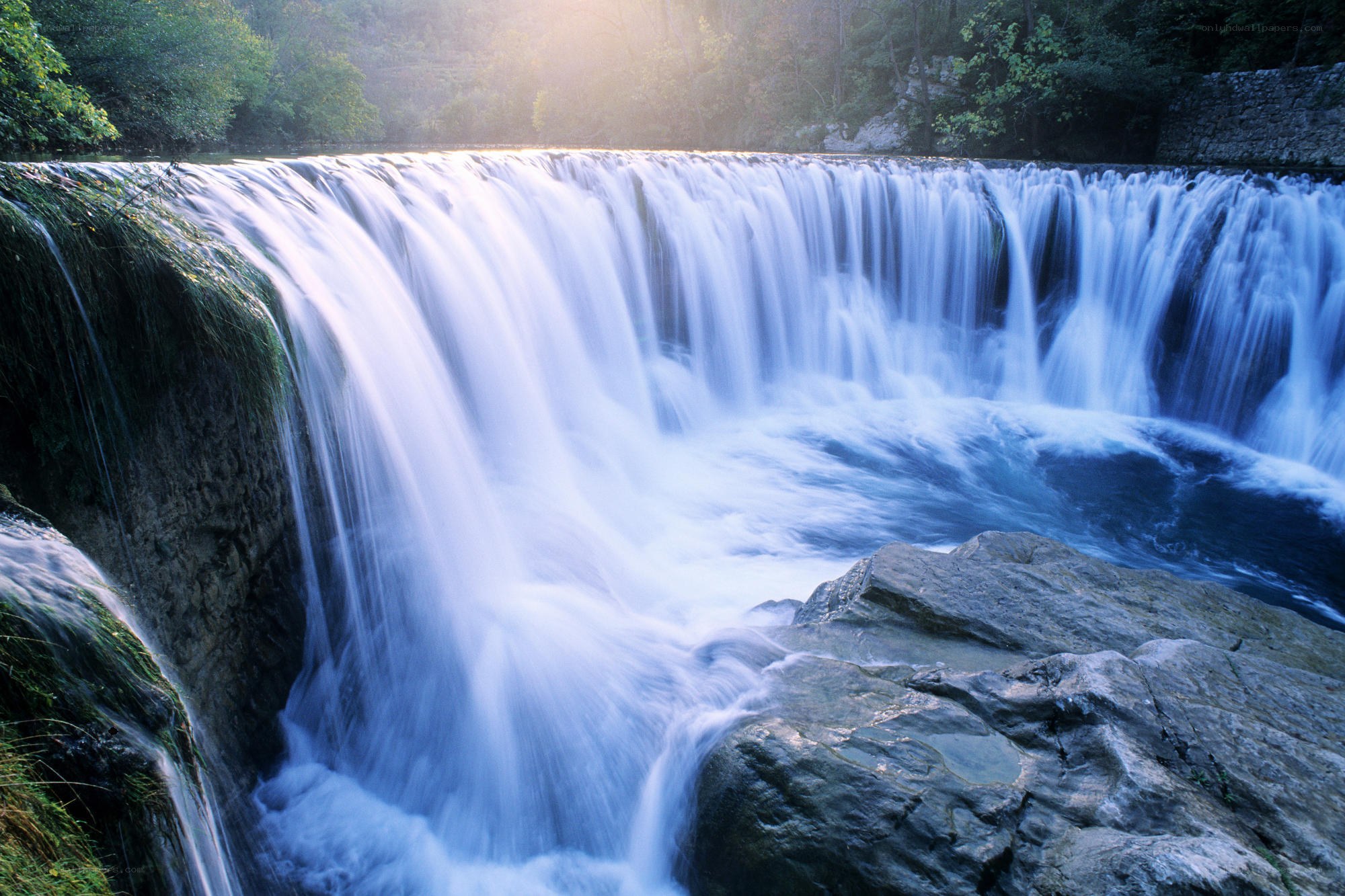 Waterfall in a forest