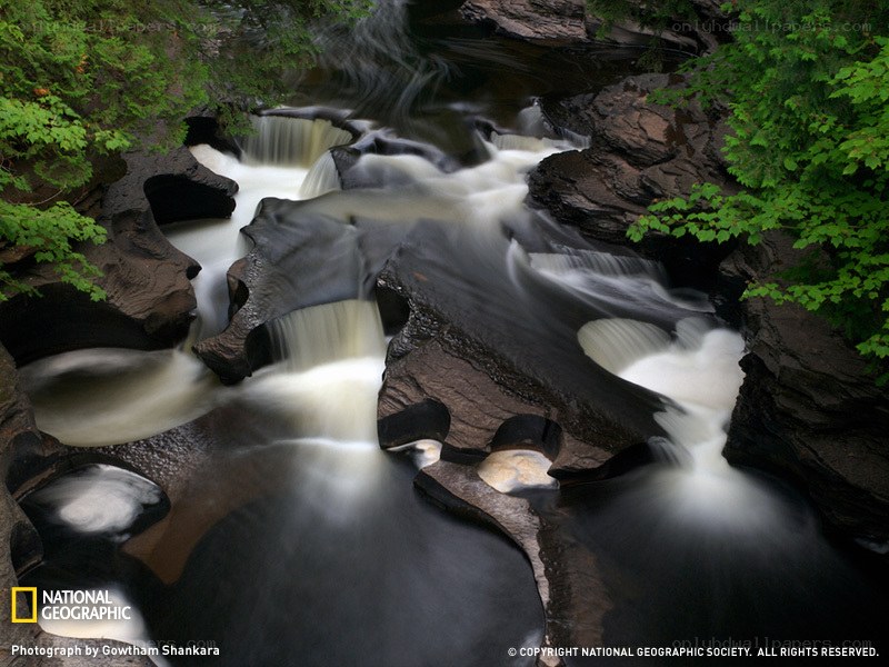 Waterfall in a forest