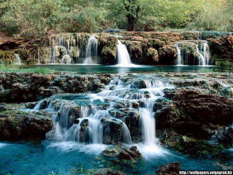 Waterfall in a forest