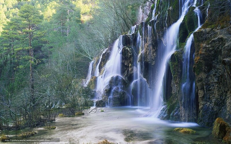 Waterfall in a forest