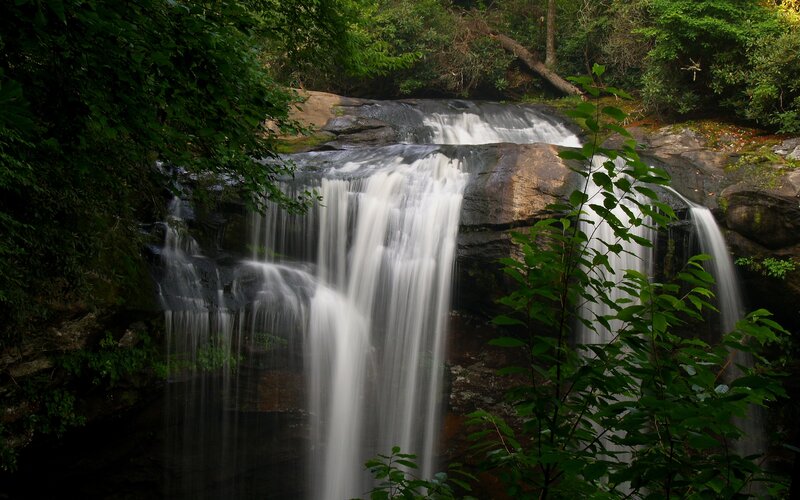 Waterfall in a forest