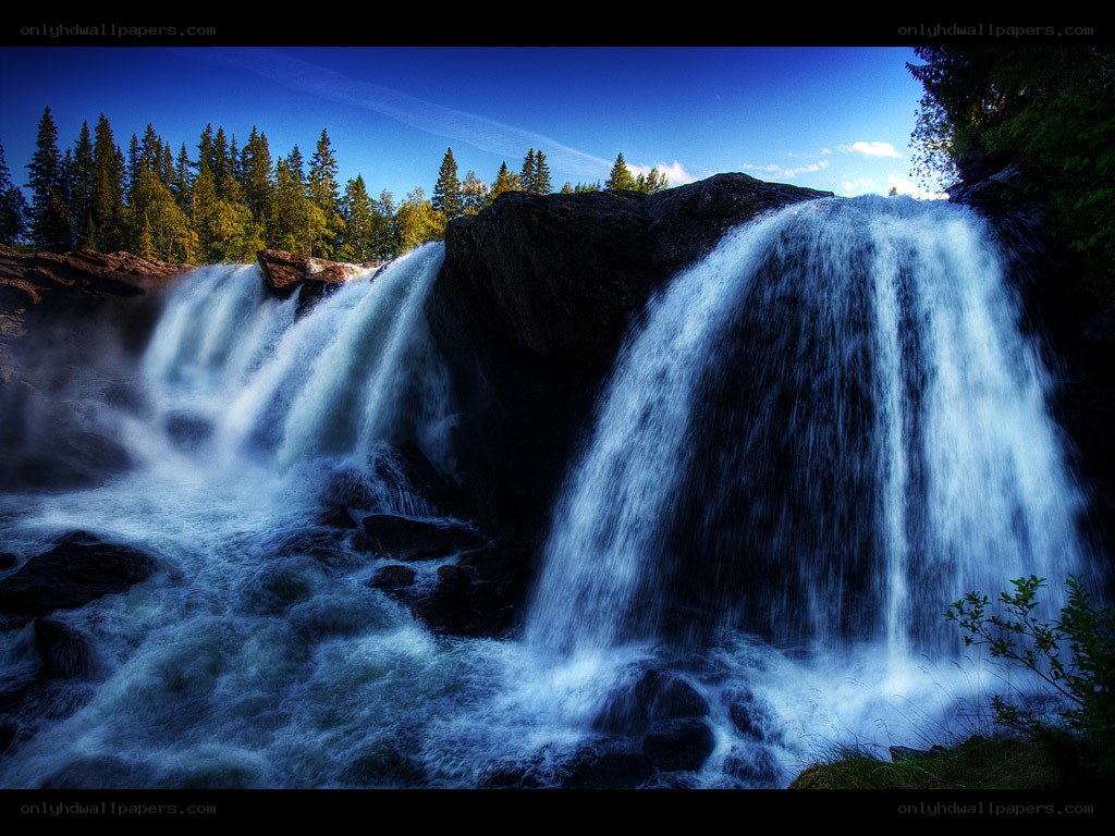 Waterfall in a forest