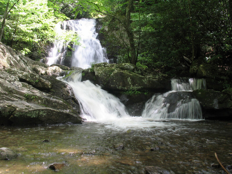 Waterfall in a forest