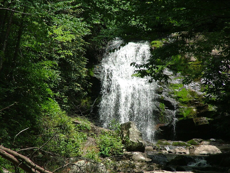 Waterfall in a forest