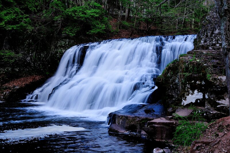 Waterfall in a forest