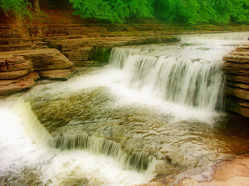 Waterfall in a forest