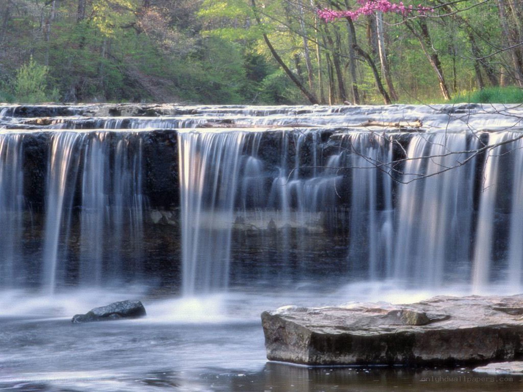 Waterfall in a forest