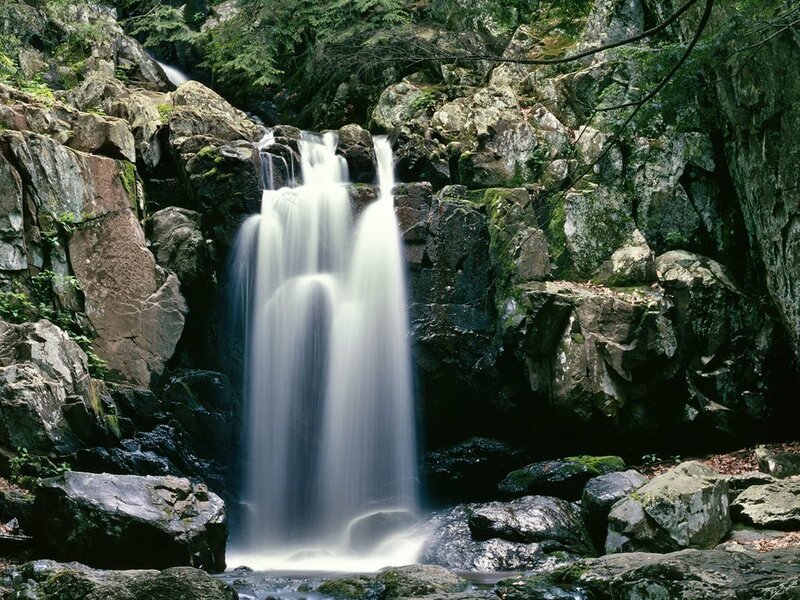 Waterfall in a forest