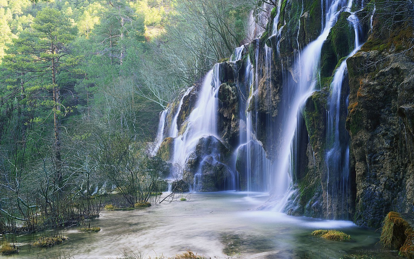 Waterfall in a forest