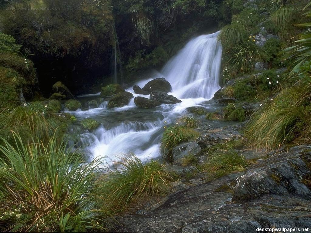 Waterfall in a forest