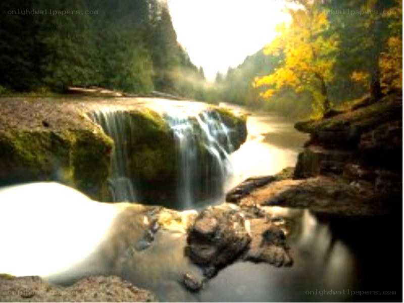 Waterfall in a forest