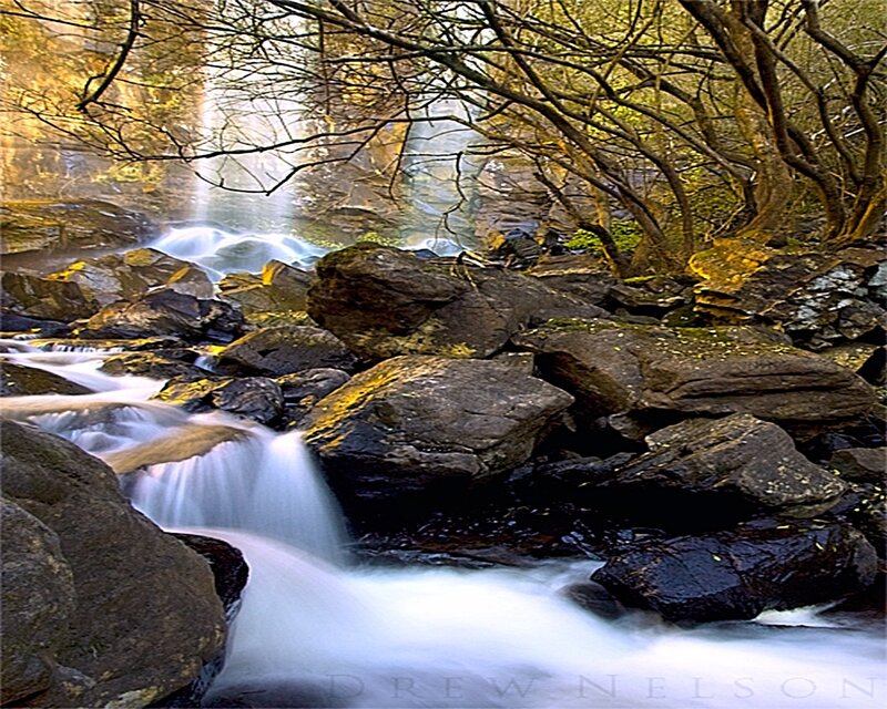 Waterfall in a forest