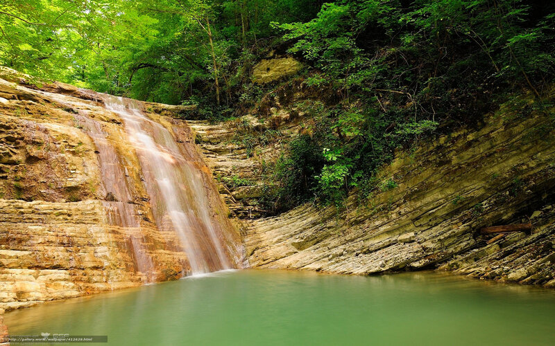 Waterfall in a forest