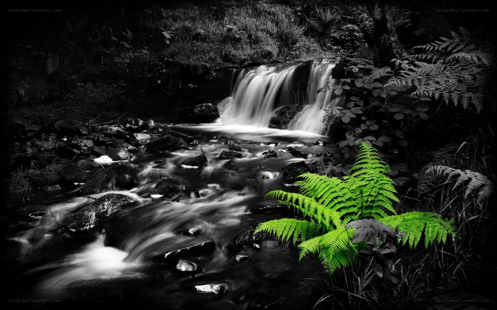 Waterfall in a forest