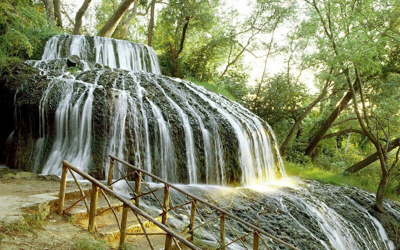 Waterfall in a forest