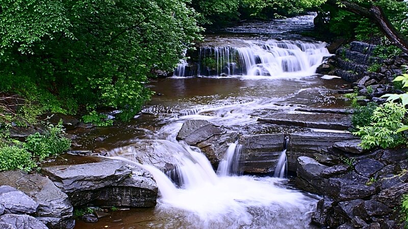 Waterfall in a forest