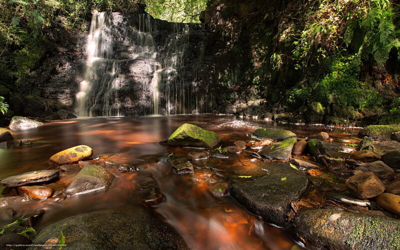 Waterfall in a forest