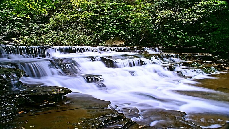 Waterfall in a forest