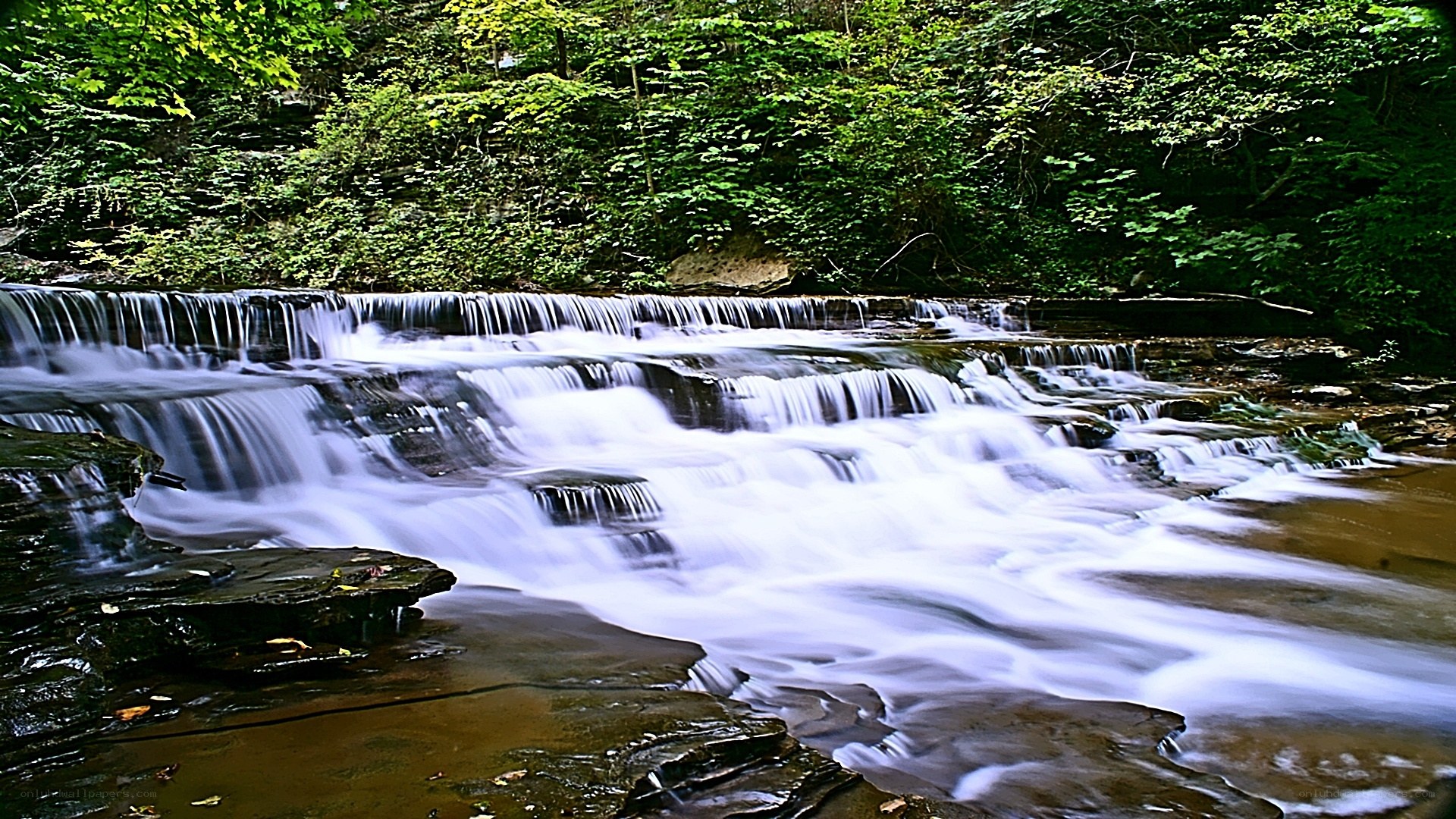 Waterfall in a forest
