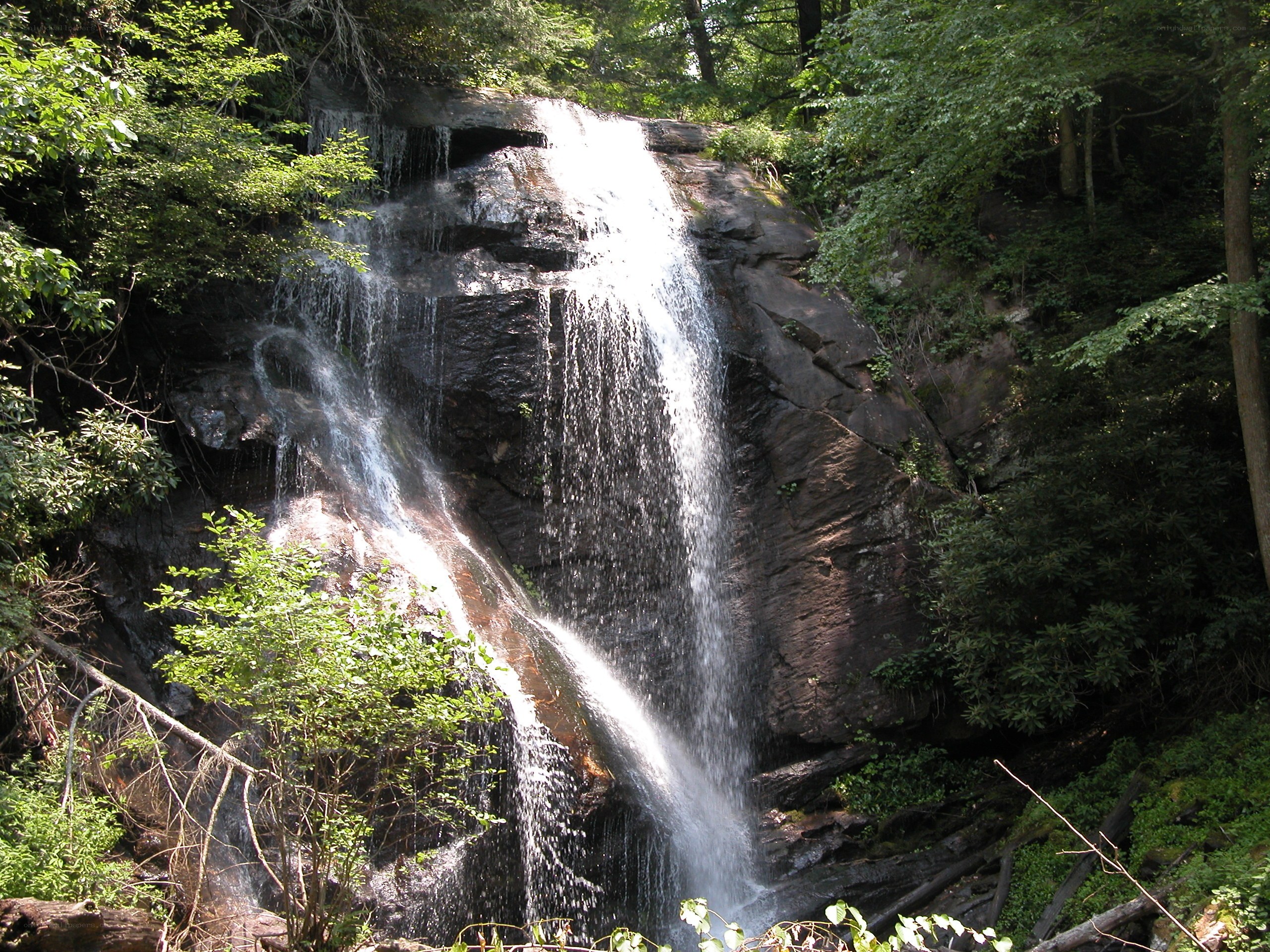 Waterfall in a forest