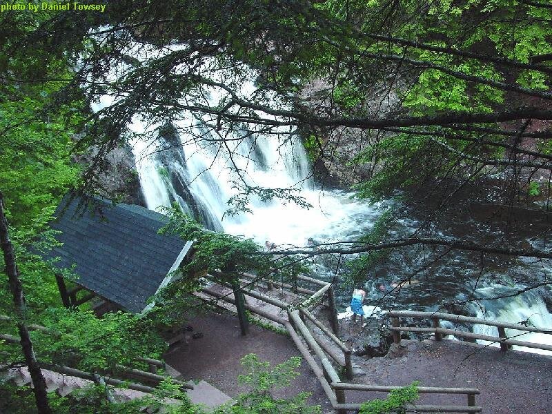 Waterfall in a forest
