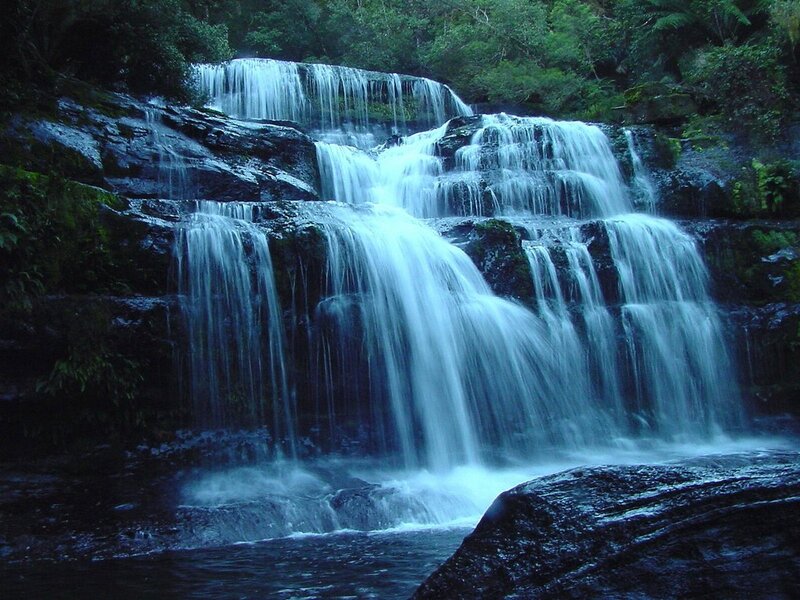 Waterfall in a forest