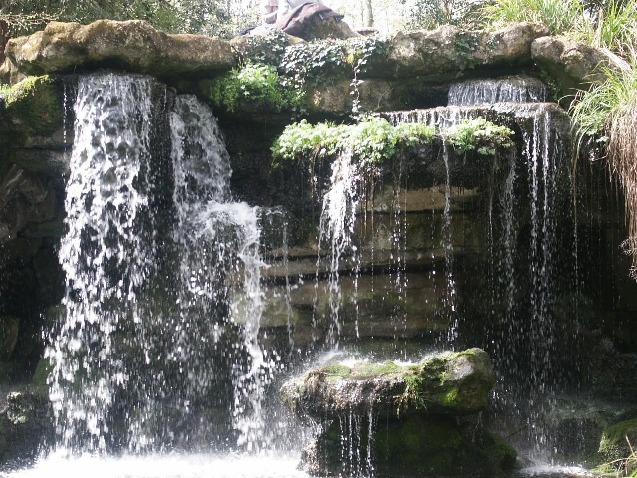 Waterfall in a forest