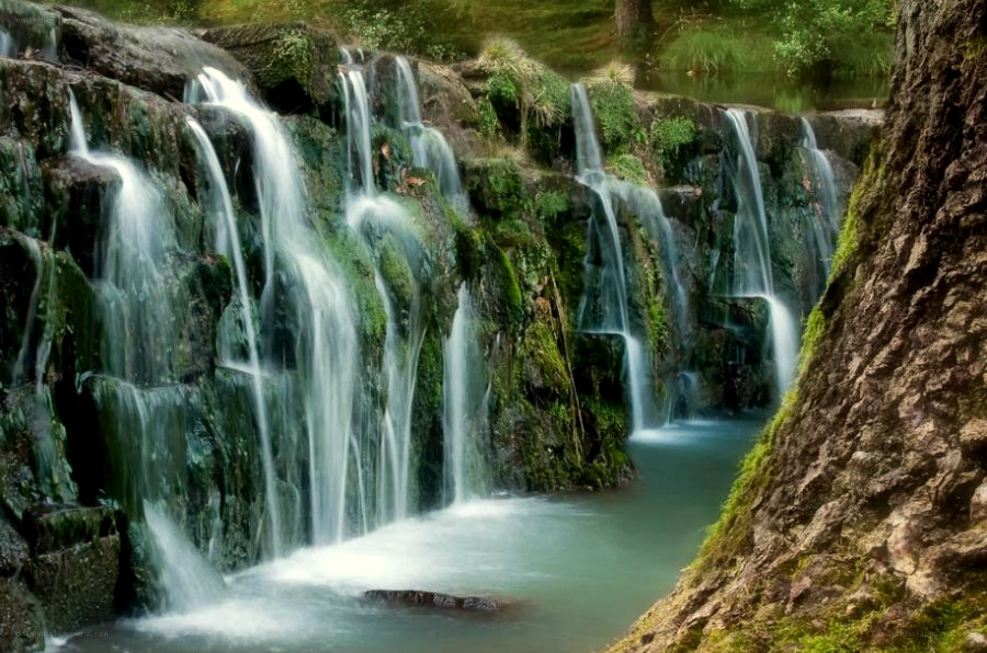 Waterfall in a forest